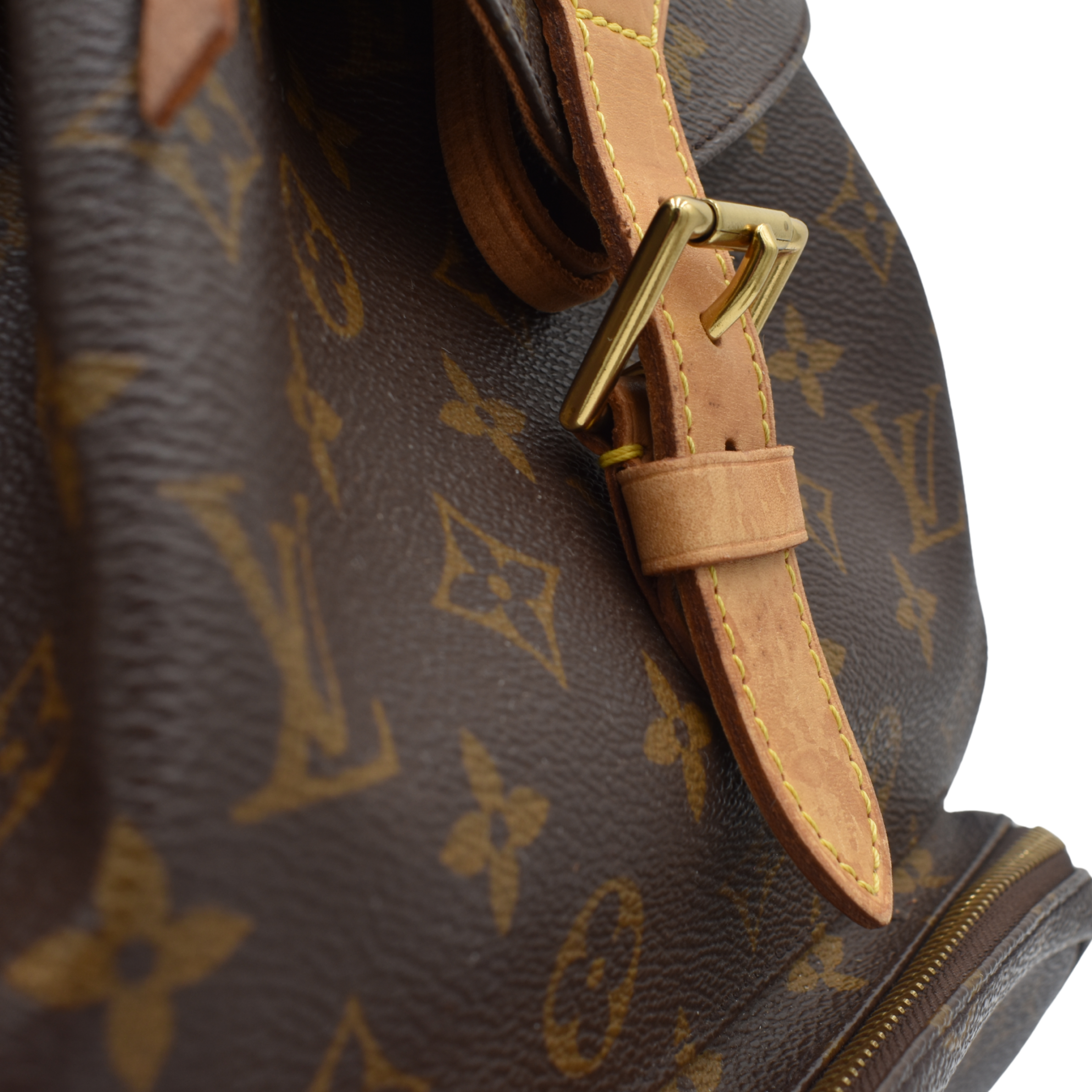 Monogram Montsouris GM Backpack