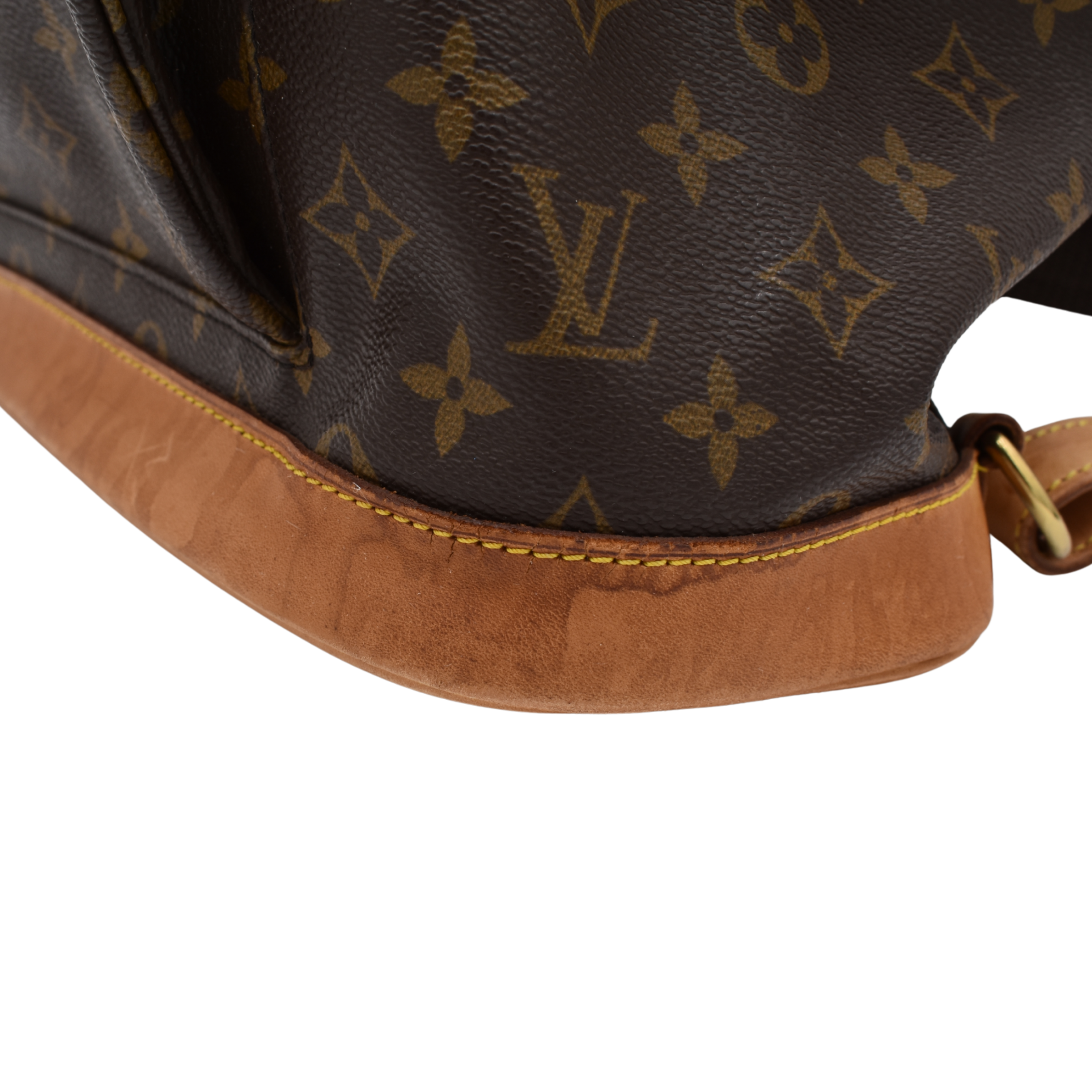 Monogram Montsouris GM Backpack