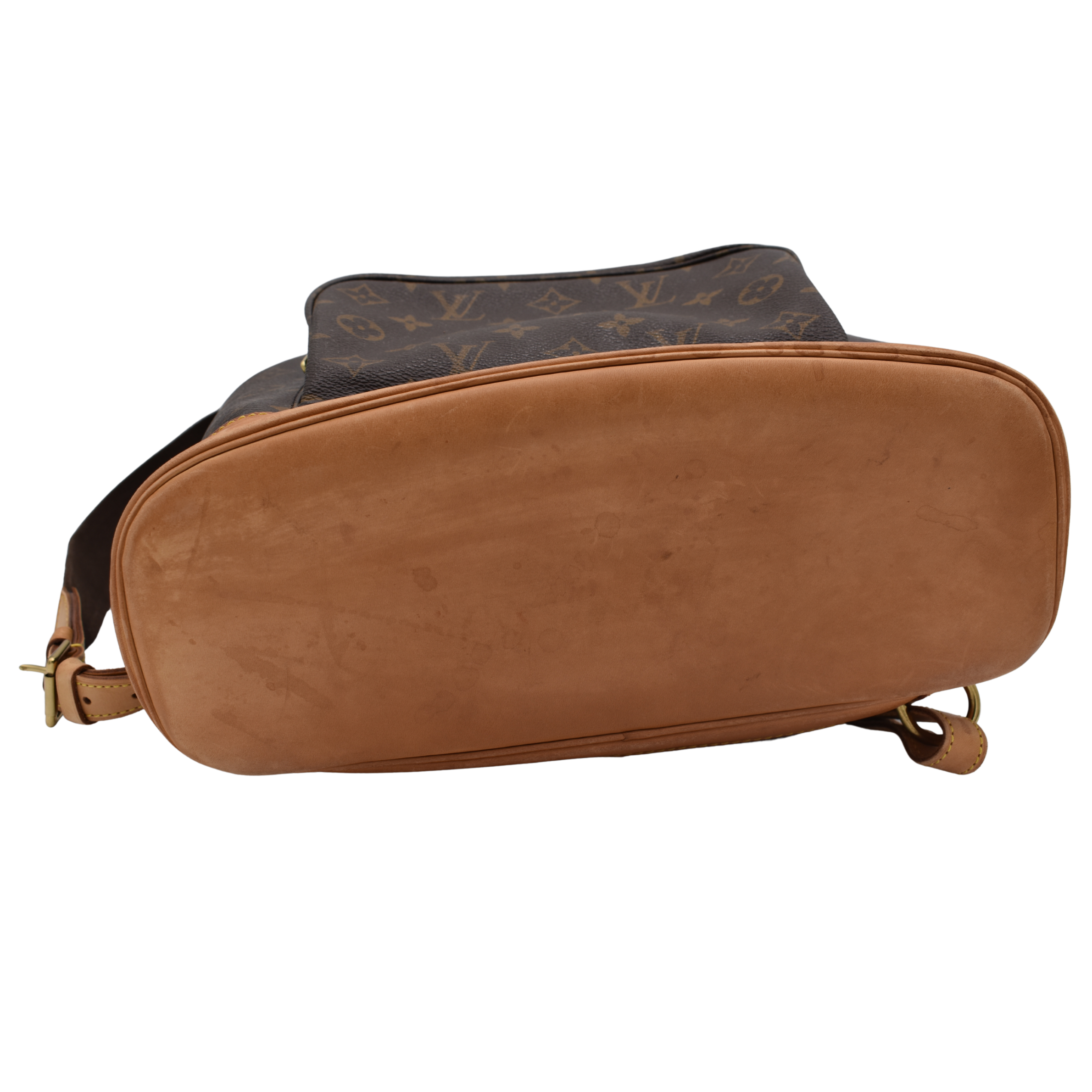 Monogram Montsouris GM Backpack